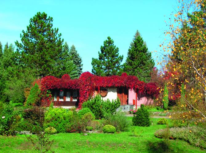 Obrázok Arborétum Borova hora