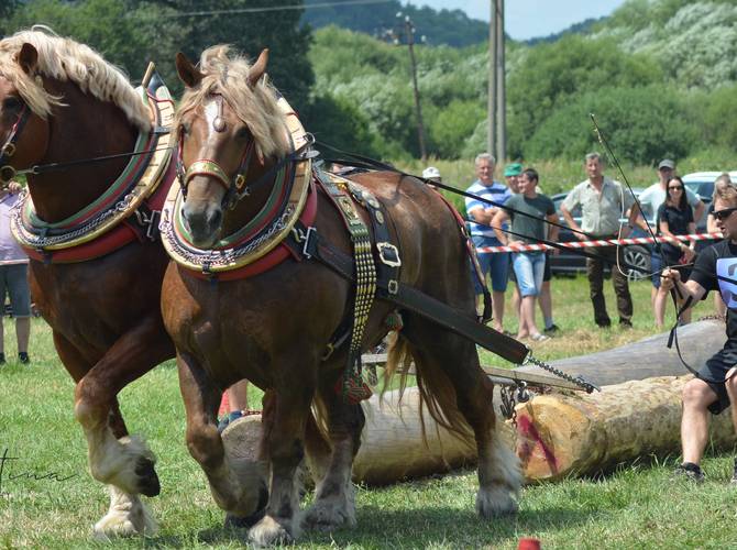 Obrázok Furmanské preteky na Masarykovom dvore