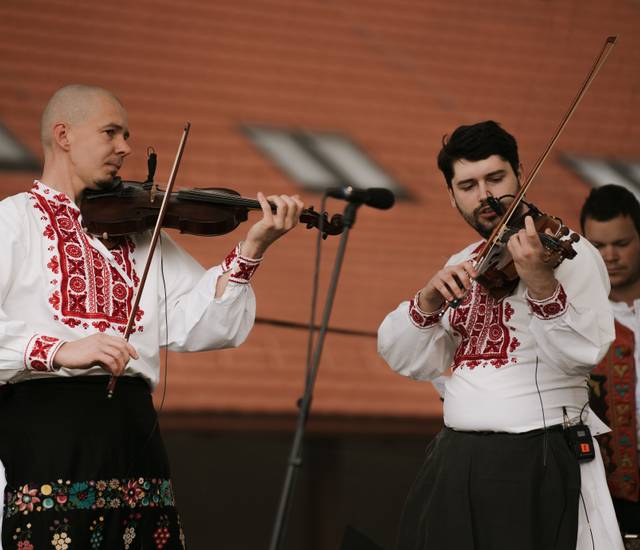 Obrázok galérie