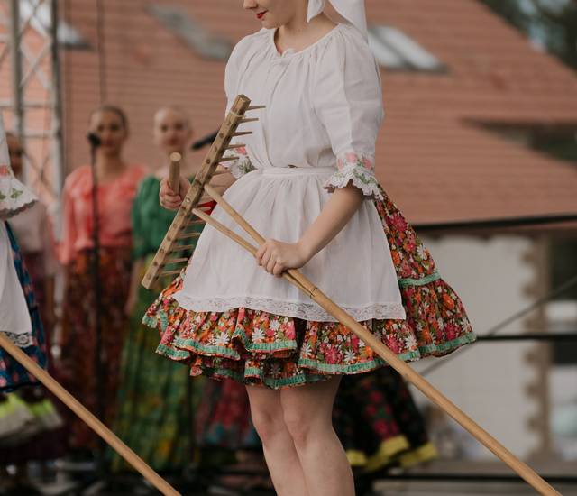 Obrázok galérie