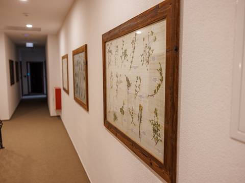 1o8a0162-2048px.jpg