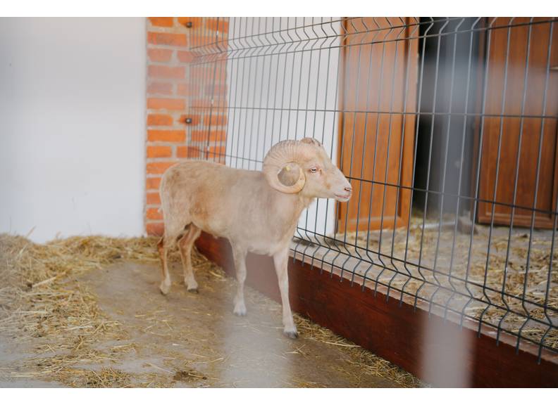 Náhľadový obrázok