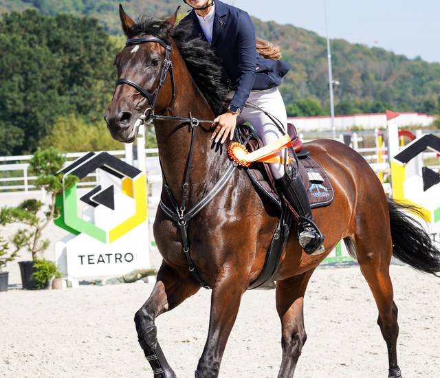 Obrázok galérie