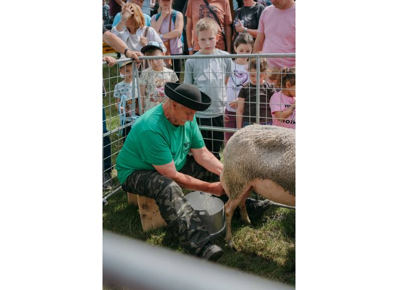 Náhľadový obrázok